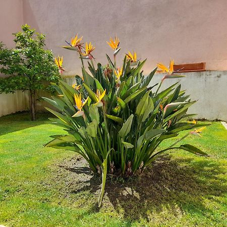 A Casa Da Avo Ana Villa Arneiro das Milharicas Ngoại thất bức ảnh
