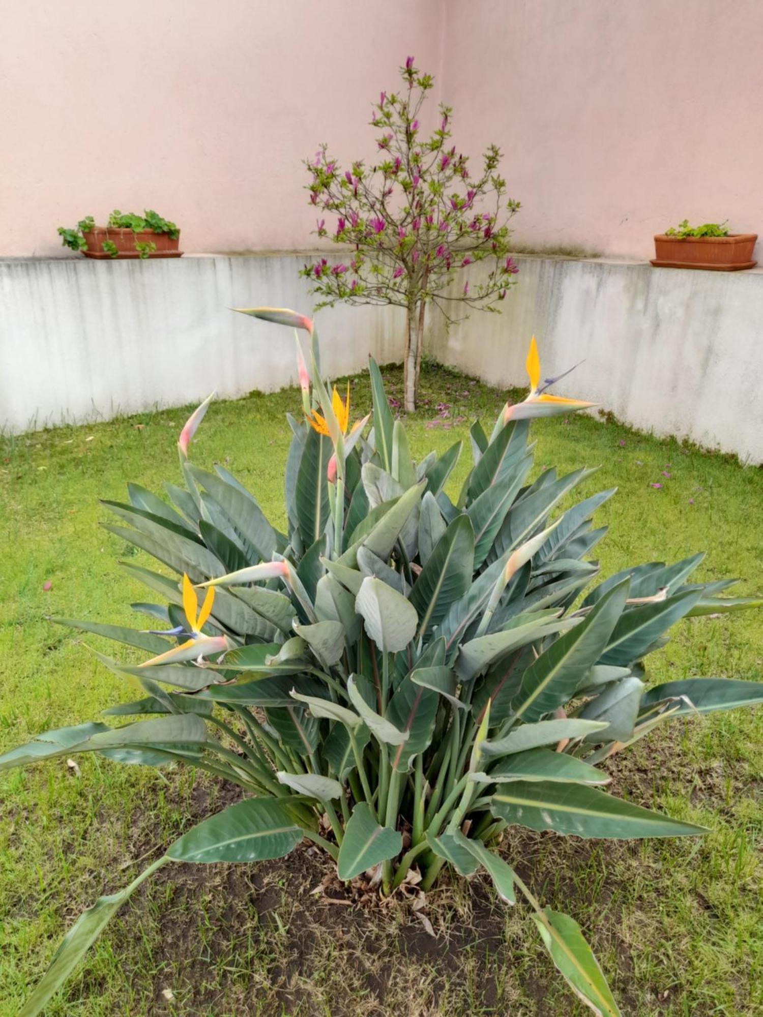 A Casa Da Avo Ana Villa Arneiro das Milharicas Ngoại thất bức ảnh